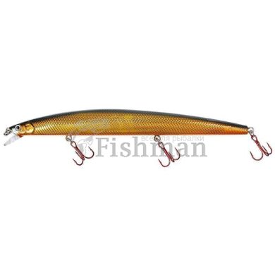 Fladen Warbird Minnow 180, 02
