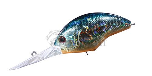 O.S.P Blitz Max DR, H-03