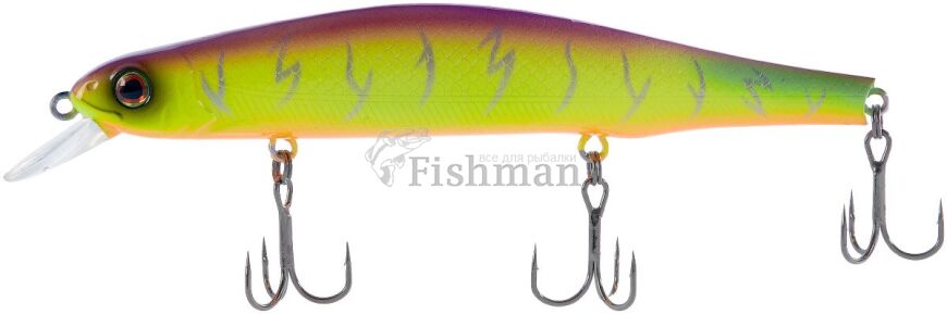 Select Insider 110SP, 03