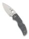 Spyderco Native 5 Maxamet Steel Gray