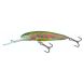 Salmo Minnow F 06, RBT