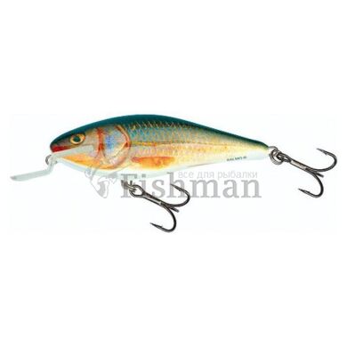 Воблер Salmo Executor SDR 05/RR (IEX5SDR-RR), RR