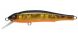 Megabass X-70, GG Megabass Kinkuro