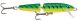 Rapala Jointed J11, FT