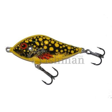 Salmo Slider F 05, BE