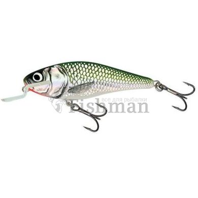 Воблер Salmo Executor SR 05/EF (IEX5SR-EF), EF