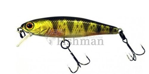 Jackall Tiny Fry 50 SP, Ghost G Perch