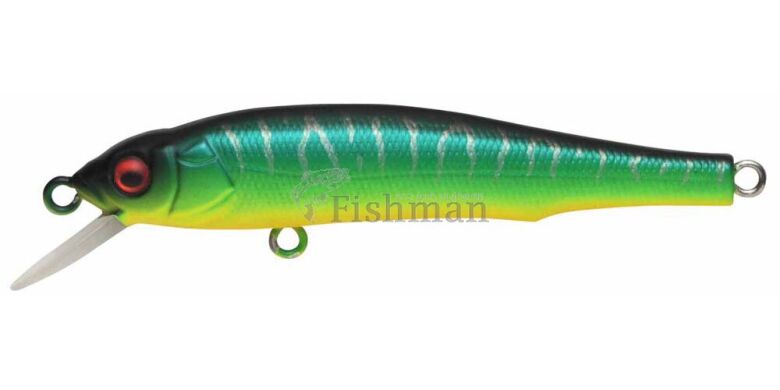 Megabass X-70, Mat Tiger