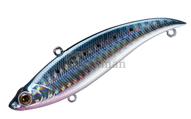 Smith Bay Blue 90HS, 53