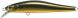 ZipBaits Rigge 90SP, 050