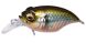 Megabass Griffon Bait Finesse SR-X, Wagin Oikawa