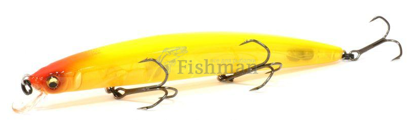 Megabass X-140 World Challenge, GP Tonegawa Reaction