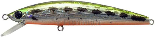 Usami Taidana 80 SP-SR, 106