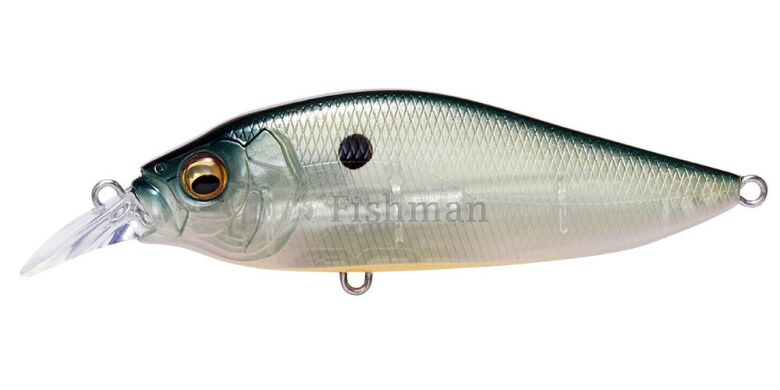 Megabass Flap Slap LBO, PM Ghost Chart Shad