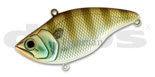 deps ms vibration, 03