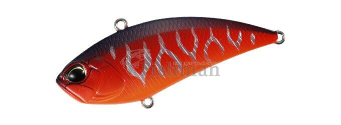 DUO Realis Vibration 62 Apex Tune, CCC-3069