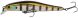 ZipBaits Rigge 90SP, 509