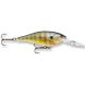 Rapala Shad Rap SR09, BG