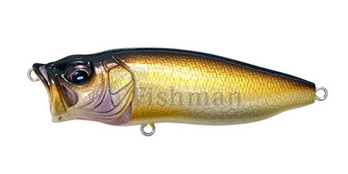 Megabass PopMax, Hakusei Glitter Carp