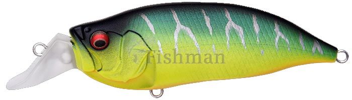 Megabass IXI Shad Type-R, Mat Tiger