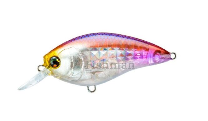 Duel L-Bass Crank SR, HWS