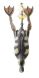 Savage Gear 3D Hollow Duckling weedless S, 01